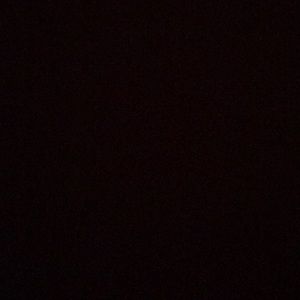 Meet your Posher, Lizette